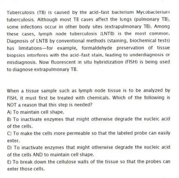 Tuberculosis (TB) is caused by the acid-fast bacterium Mycobacterium tuberculosis. Although most TB cases affect the lungs (pulmonary TB), some infections occur in other body sites (extrapulmonary TB). Among these cases, lymph node tuberculosis (LNTB) is the most common. Diagnosis of LNTB by conventional methods (staining, biochemical tests) has limitations—for example, formaldehyde preservation of tissue biopsies interferes with the acid-fast stain, leading to underdiagnosis or misdiagnosis. Now fluorescent in situ hybridization (FISH) is being used to diagnose extrapulmonary TB.
-When a tissue sample such as lymph node tissue is to be analyzed by FISH, it must first be treated with chemicals. Which of the following is NOT a reason that this step is needed?
A) To maintain cell shape.
B) To inactivate enzymes that might otherwise degrade the nucleic acid of the cells.
C) To make the cells more permeable so that the labeled probe can easily enter.
D) To inactivate enzymes that might otherwise degrade the nucleic acid of the cells AND to maintain cell shape.
E) To break down the cellulose walls of the tissue so that the probes can enter those cells.