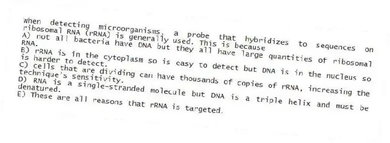 When detecting microorganisms, a probe that hybridizes to sequences on ribosomal RNA (rRNA) is generally used. This is because
A) not all bacteria have DNA but they all have large quantities of ribosomal RNA.
B) rRNA is in the cytoplasm so is easy to detect but DNA is in the nucleus so is harder to detect.
C) cells that are dividing can have thousands of copies of rRNA, increasing the technique's sensitivity.
D) RNA is a single-stranded molecule but DNA is a triple helix and must be denatured.
E) These are all reasons that rRNA is targeted.