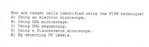 How are target cells identified using the FISH technique?
A) Using an electron microscope.
B) Using DNA microarrays.
C) Using DNA sequencing.
D) Using a fluorescence microscope.
E) By detecting UV levels.