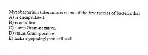 Mycobacterium tuberculosis is one of the few species of bacteria that
A) is encapsulated.
B) is acid-fast.
C) stains Gram-negative.
D) stains Gram-positive.
E) lacks a peptidoglycan cell wall.