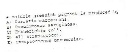 A soluble greenish pigment is produced by
A) Serratia marcescens.
B) Pseudomonas aeruginosa.
C) Escherichia coli.
D) all streptococci.
E) Streptococcus pneumoniae.