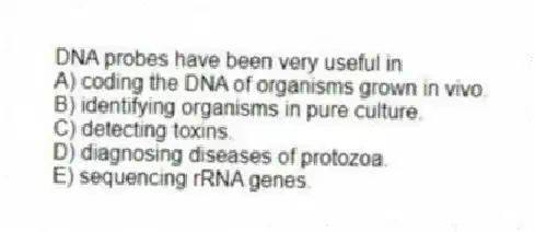 DNA probes have been very useful in
A) coding the DNA of organisms grown in vivo.
B) identifying organisms in pure culture.
C) detecting toxins.
D) diagnosing diseases of protozoa.
E) sequencing rRNA genes.