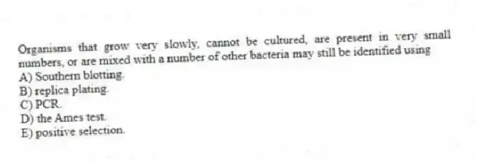 Organisms that grow very slowly, cannot be cultured, are present in very small numbers, or are mixed with a number of other bacteria may still be identified using
A) Southern blotting.
B) replica plating.
C) PCR.
D) the Ames test.
E) positive selection.