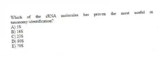 Which of the rRNA molecules has proven the most useful in taxonomy/identification?
A) 5S
B) 16S
C) 23S
D) 80S
E) 70S