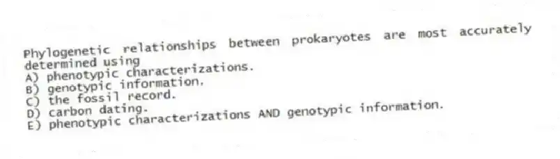Phylogenetic relationships between prokaryotes are most accurately determined using
A) phenotypic characterizations.
B) genotypic information.
C) the fossil record.
D) carbon dating.
E) phenotypic characterizations AND genotypic information.