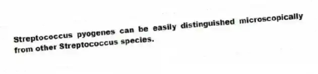 Streptococcus pyogenes can be easily distinguished microscopically from other Streptococcus species.