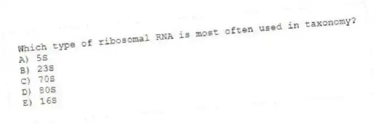 Which type of ribosomal RNA is most often used in taxonomy?
A) 5S
B) 23S
C) 70S
D) 80S
E) 16S