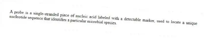 A probe is a single-stranded piece of nucleic acid labeled with a detectable marker, used to locate a unique nucleotide sequence that identifies a particular microbial species.