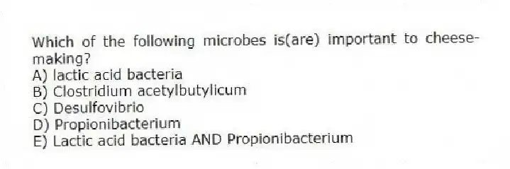 Which of the following microbes is(are) important to cheese-making?
A) lactic acid bacteria
B) Clostridium acetylbutylicum
C) Desulfovibrio
D) Propionibacterium
E) Lactic acid bacteria AND Propionibacterium