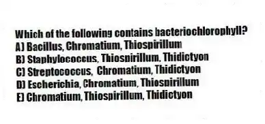 Which of the following contains bacteriochlorophyll?
A) Bacillus, Chromatium, Thiospirillum
B) Staphylococcus, Thiospirillum, Thidictyon
C) Streptococcus, Chromatium, Thidictyon
D) Escherichia, Chromatium, Thiospirillum
E) Chromatium, Thiospirillum, Thidictyon