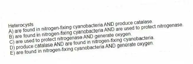 Heterocysts
A) are found in nitrogen-fixing cyanobacteria AND produce catalase.
B) are found in nitrogen-fixing cyanobacteria AND are used to protect nitrogenase.
C) are used to protect nitrogenase AND generate oxygen.
D) produce catalase AND are found in nitrogen-fixing cyanobacteria.
E) are found in nitrogen-fixing cyanobacteria AND generate oxygen.