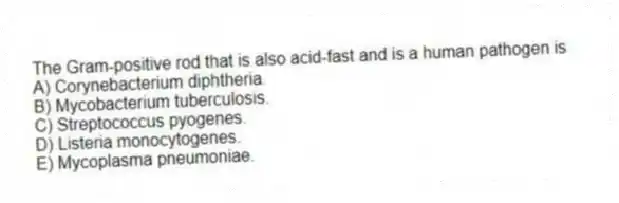The Gram-positive rod that is also acid-fast and is a human pathogen is
A) Corynebacterium diphtheria.
B) Mycobacterium tuberculosis.
C) Streptococcus pyogenes.
D) Listeria monocytogenes.
E) Mycoplasma pneumoniae.