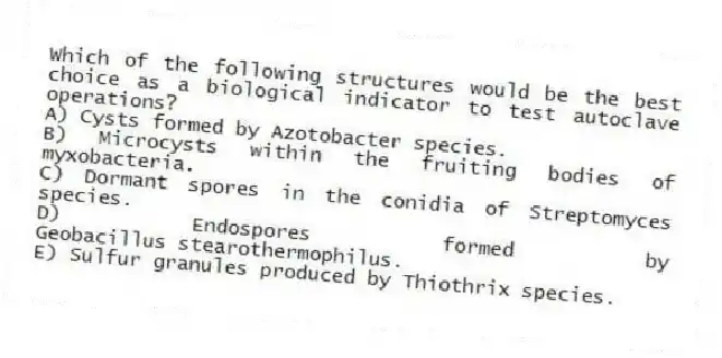 Which of the following structures would be the best choice as a biological indicator to test autoclave operations?
A) Cysts formed by Azotobacter species.
B) Microcysts within the fruiting bodies of myxobacteria.
C) Dormant spores in the conidia of Streptomyces species.
D) Endospores formed by Geobacillus stearothermophilus.
E) Sulfur granules produced by Thiothrix species.