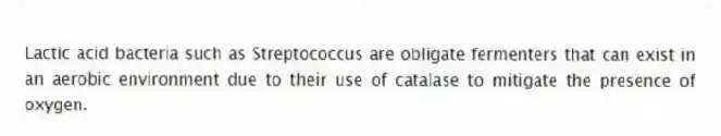 Lactic acid bacteria such as Streptococcus are obligate fermenters that can exist in an aerobic environment due to their use of catalase to mitigate the presence of oxygen.