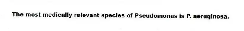 The most medically relevant species of Pseudomonas is P. aeruginosa.