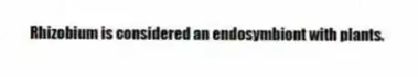 Rhizobium is considered an endosymbiont with plants.