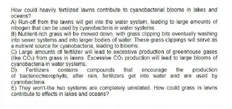 How could heavily fertilized lawns contribute to cyanobacterial blooms in lakes and oceans?
A) Run-off from the lawns will get into the water system, leading to large amounts of nitrogen that can be used by cyanobacteria in water systems.
B) Nutrient-rich grass will be mowed down, with grass clipping bits eventually washing into sewer systems and into larger bodies of water. These grass clippings will serve as a nutrient source for cyanobacteria, leading to blooms.
C) Large amounts of fertilizer will lead to excessive production of greenhouse gases (like CO₂) from grass in lawns. Excessive CO₂ production will lead to large blooms of cyanobacteria in water systems.
D) Fertilizers contains compounds that encourage the production of bacteriochlorophylls; after rain, fertilizers get into water and are used by cyanobacteria.
E) They won't-the two systems are completely unrelated. How could grass in lawns contribute to effects in lakes and oceans?