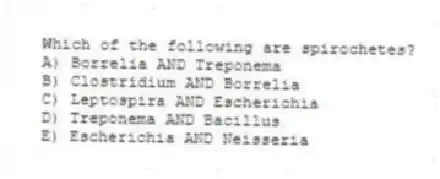 Which of the following are spirochetes?
A) Borrelia AND Treponema
B) Clostridium AND Borrelia
C) Leptospira AND Escherichia
D) Treponema AND Bacillus
E) Escherichia AND Neisseria