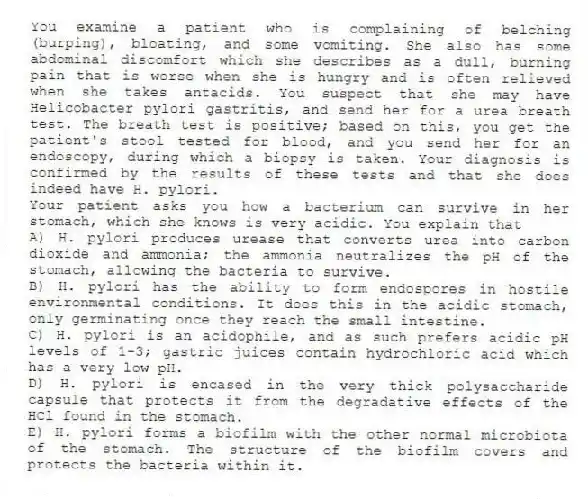 You examine a patient who is complaining of belching (burping), bloating, and some vomiting. She also has some abdominal discomfort which she describes as a dull, burning pain that is worse when she is hungry and is often relieved when she takes antacids. You suspect that she may have Helicobacter pylori gastritis, and send her for a urea breath test. The breath test is positive; based on this, you get the patient's stool tested for blood, and you send her for an endoscopy, during which a biopsy is taken. Your diagnosis is confirmed by the results of these tests and that she does indeed have H. pylori.
-Your patient asks you how a bacterium can survive in her stomach, which she knows is very acidic. You explain that
A) H. pylori produces urease that converts urea into carbon dioxide and ammonia; the ammonia neutralizes the pH of the stomach, allowing the bacteria to survive.
B) H. pylori has the ability to form endospores in hostile environmental conditions. It does this in the acidic stomach, only germinating once they reach the small intestine.
C) H. pylori is an acidophile, and as such prefers acidic pH levels of 1-3; gastric juices contain hydrochloric acid which has a very low pH.
D) H. pylori is encased in the very thick polysaccharide capsule that protects it from the degradative effects of the HCl found in the stomach.
E) H. pylori forms a biofilm with the other normal microbiota of the stomach. The structure of the biofilm covers and protects the bacteria within it.