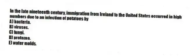 In the late nineteenth century, immigration from Ireland to the United States occurred in high numbers due to an infection of potatoes by
A) bacteria.
B) viruses.
C) fungi.
D) protozoa.
E) water molds.