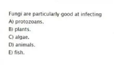 Fungi are particularly good at infecting
A) protozoans.
B) plants.
C) algae.
D) animals.
E) fish.