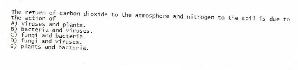 The return of carbon dioxide to the atmosphere and nitrogen to the soil is due to the action of
A) viruses and plants.
B) bacteria and viruses.
C) fungi and bacteria.
D) fungi and viruses.
E) plants and bacteria.