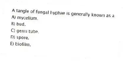 A tangle of fungal hyphae is generally known as a
A) mycelium.
B) bud.
C) germ tube.
D) spore.
E) biofilm.