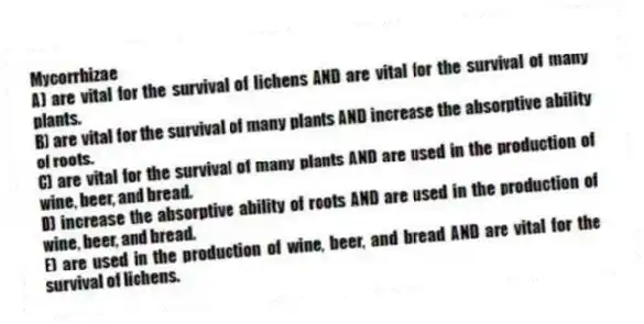Mycorrhizae
A) are vital for the survival of lichens AND are vital for the survival of many plants.
B) are vital for the survival of many plants AND increase the absorptive ability of roots.
C) are vital for the survival of many plants AND are used in the production of wine, beer, and bread.
D) increase the absorptive ability of roots AND are used in the production of wine, beer, and bread.
E) are used in the production of wine, beer, and bread AND are vital for the survival of lichens.