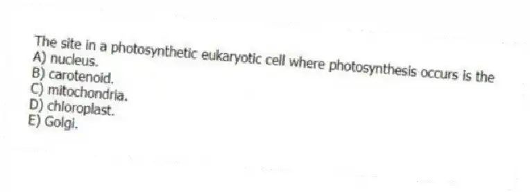 The site in a photosynthetic eukaryotic cell where photosynthesis occurs is the
A) nucleus.
B) carotenoid.
C) mitochondria.
D) chloroplast.
E) Golgi.