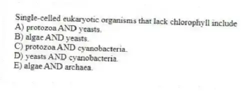 Single-celled eukaryotic organisms that lack chlorophyll include
A) protozoa AND yeasts.
B) algae AND yeasts.
C) protozoa AND cyanobacteria.
D) yeasts AND cyanobacteria.
E) algae AND archaea.