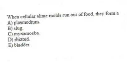 When cellular slime molds run out of food, they form a
A) plasmodium.
B) slug.
C) myxamoeba.
D) rhizoid.
E) bladder.