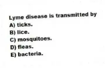 Lyme disease is transmitted by
A) ticks.
B) lice.
C) mosquitoes.
D) fleas.
E) bacteria.