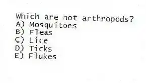 Which are not arthropods?
A) Mosquitoes
B) Fleas
C) Lice
D) Ticks
E) Flukes