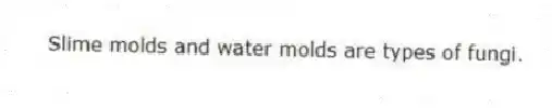 Slime molds and water molds are types of fungi.