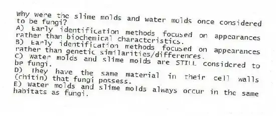 Why were the slime molds and water molds once considered to be fungi?
A) Early identification methods focused on appearances rather than biochemical characteristics.
B) Early identification methods focused on appearances rather than genetic similarities/differences.
C) Water molds and slime molds are STILL considered to be fungi.
D) They have the same material in their cell walls (chitin) that fungi possess.
E) Water molds and slime molds always occur in the same habitats as fungi.