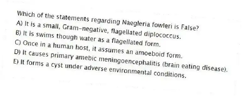 Which of the statements regarding Naegleria fowleri is False?
A) It is a small, Gram-negative, flagellated diplococcus.
B) It is swims though water as a flagellated form.
C) Once in a human host, it assumes an amoeboid form.
D) It causes primary amebic meningoencephalitis (brain eating disease).
E) It forms a cyst under adverse environmental conditions.