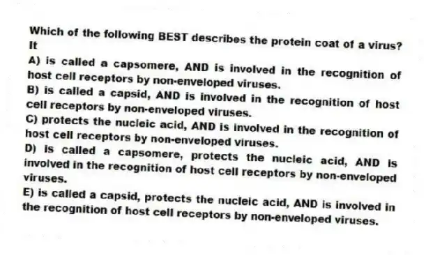 Which of the following BEST describes the protein coat of a virus? It
A) is called a capsomere, AND is involved in the recognition of host cell receptors by non-enveloped viruses.
B) is called a capsid, AND is involved in the recognition of host cell receptors by non-enveloped viruses.
C) protects the nucleic acid, AND is involved in the recognition of host cell receptors by non-enveloped viruses.
D) is called a capsomere, protects the nucleic acid, AND is involved in the recognition of host cell receptors by non-enveloped viruses.
E) is called a capsid, protects the nucleic acid, AND is involved in the recognition of host cell receptors by non-enveloped viruses.