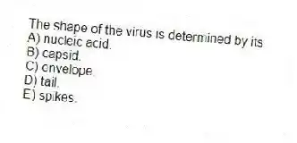 The shape of the virus is determined by its
A) nucleic acid.
B) capsid.
C) envelope.
D) tail.
E) spikes.