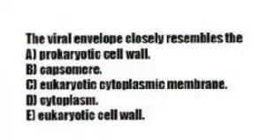 The viral envelope closely resembles the
A) prokaryotic cell wall.
B) capsomere.
C) eukaryotic cytoplasmic membrane.
D) cytoplasm.
E) eukaryotic cell wall.
