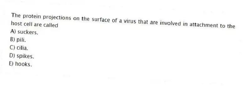 The protein projections on the surface of a virus that are involved in attachment to the host cell are called
A) suckers.
B) pili.
C) cilia.
D) spikes.
E) hooks.