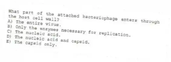 What part of the attached bacteriophage enters through the host cell wall?
A) The entire virus.
B) Only the enzymes necessary for replication.
C) The nucleic acid.
D) The nucleic acid and capsid.
E) The capsid only.