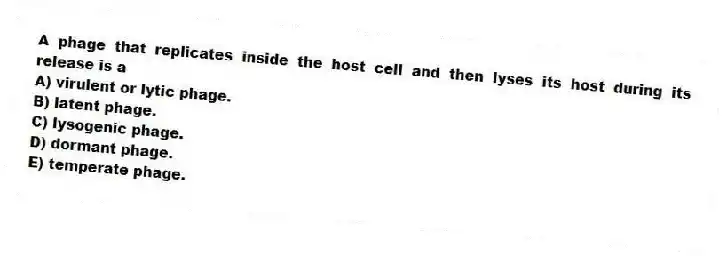A phage that replicates inside the host cell and then lyses its host during its release is a
A) virulent or lytic phage.
B) latent phage.
C) lysogenic phage.
D) dormant phage.
E) temperate phage.