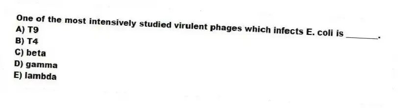 One of the most intensively studied virulent phages which infects E. coli is ________.
A) T9
B) T4
C) beta
D) gamma
E) lambda