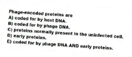 Phage-encoded proteins are
A) coded for by host DNA.
B) coded for by phage DNA.
C) proteins normally present in the uninfected cell.
D) early proteins.
E) coded for by phage DNA AND early proteins.