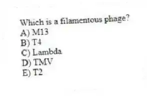Which is a filamentous phage?
A) M13
B) T4
C) Lambda
D) TMV
E) T2