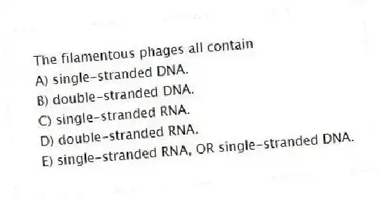 The filamentous phages all contain
A) single-stranded DNA.
B) double-stranded DNA.
C) single-stranded RNA.
D) double-stranded RNA.
E) single-stranded RNA, OR single-stranded DNA.
