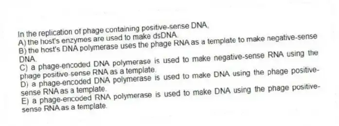 In the replication of phage containing positive-sense DNA,
A) the host's enzymes are used to make dsDNA.
B) the host's DNA polymerase uses the phage RNA as a template to make negative-sense DNA.
C) a phage-encoded DNA polymerase is used to make negative-sense RNA using the phage positive-sense RNA as a template.
D) a phage-encoded DNA polymerase is used to make DNA using the phage positive-sense RNA as a template.
E) a phage-encoded RNA polymerase is used to make DNA using the phage positive-sense RNA as a template.