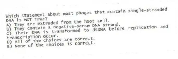 Which statement about most phages that contain single-stranded DNA is NOT True?
A) They are extruded from the host cell.
B) They contain a negative-sense DNA strand.
C) Their DNA is transformed to dsDNA before replication and transcription occur.
D) All of the choices are correct.
E) None of the choices is correct.