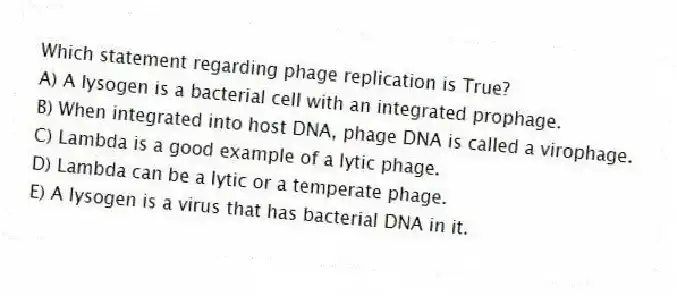 Which statement regarding phage replication is True?
A) A lysogen is a bacterial cell with an integrated prophage.
B) When integrated into host DNA, phage DNA is called a virophage.
C) Lambda is a good example of a lytic phage.
D) Lambda can be a lytic or a temperate phage.
E) A lysogen is a virus that has bacterial DNA in it.