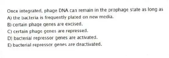 Once integrated, phage DNA can remain in the prophage state as long as
A) the bacteria is frequently plated on new media.
B) certain phage genes are excised.
C) certain phage genes are repressed.
D) bacterial repressor genes are activated.
E) bacterial repressor genes are deactivated.